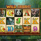Games on tablet - Wild Orient