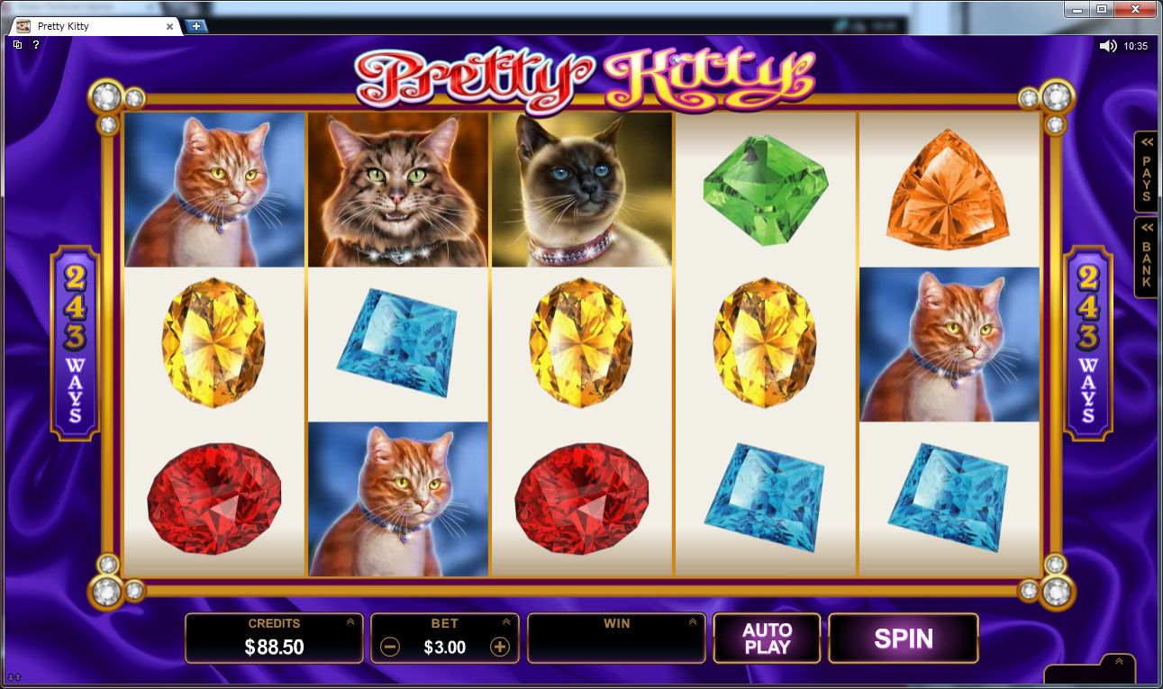 Gem-Level Entertainment in the Ruby Fortune On-line casino Canada